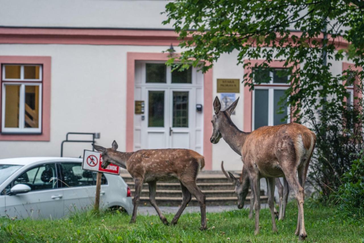Tatrystay Apartmany Lomnica Tatranská Lomnica Екстериор снимка